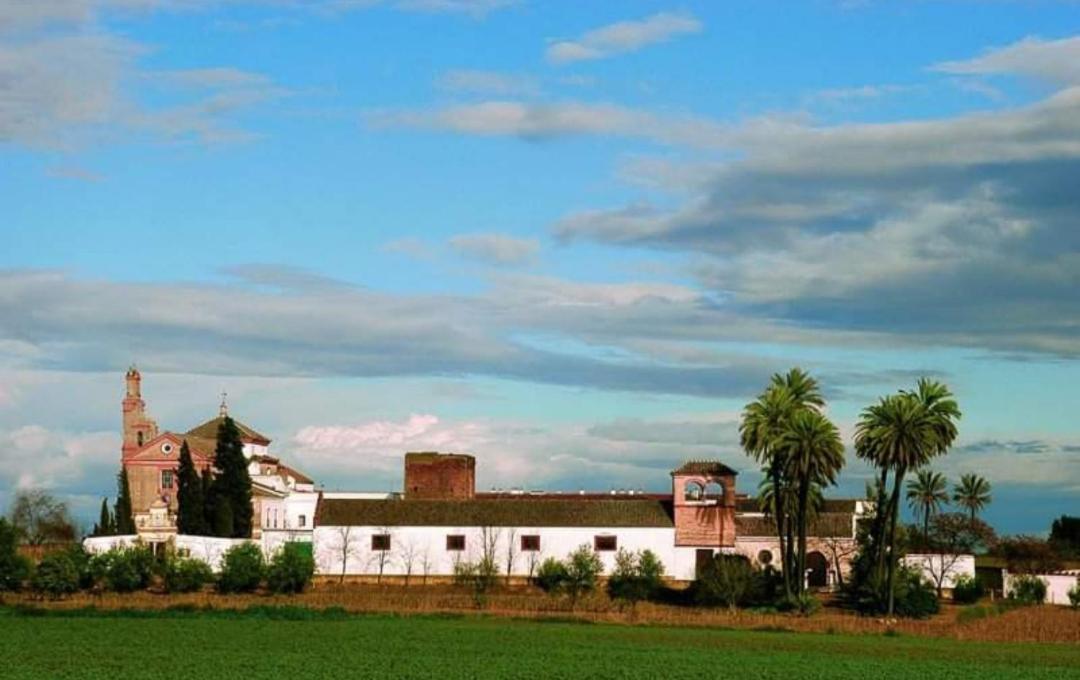 Apartamento Turistico Damajuana Parking Free Espartinas Buitenkant foto