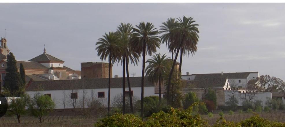 Apartamento Turistico Damajuana Parking Free Espartinas Buitenkant foto